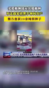 《法治在线》 一条短视频牵出“坑农黑手”！劣质麦种冒充优质种子，可致农田每亩减产25%