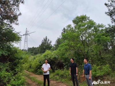 松材线虫病防治，峪山镇人大代表在行动