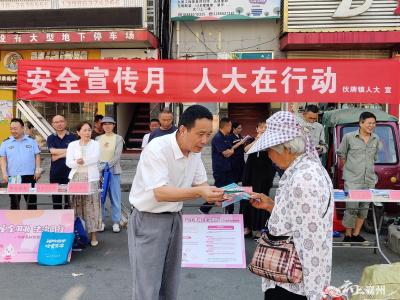 伙牌镇：安全宣传月   人大在行动