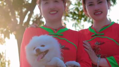 广场舞为公园带来人气和活力