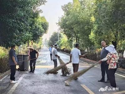 朱集镇：水退人进 开启灾后恢复加速模式