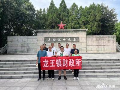 龙王财政所开展庆“七一”主题党日活动