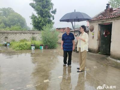伙牌镇：人大代表冒雨前行   守牢群众安全防线