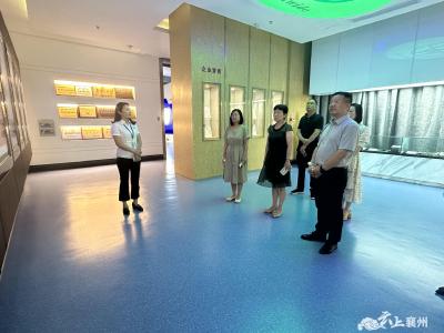 交流经验拓思路   互鉴互学促发展