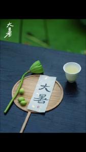 二十四节气 大暑 长夏未央，万物繁盛！