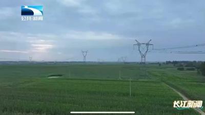 湖北襄州：热浪中“坐电梯”带电作业 保护电力“大动脉”稳定送电
