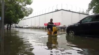 风雨相守