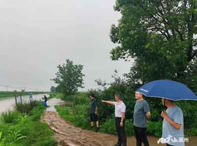 朱集市场监管所：下沉一线 有力有序开展防汛工作