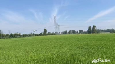 一线帮扶 助力农业减损