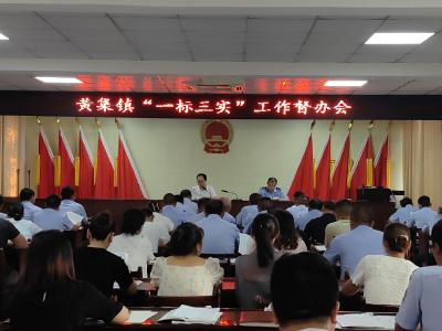 黄集镇召开“一标三实”工作专题培训会