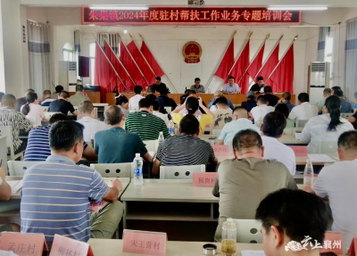 朱集镇召开2024年度驻村帮扶工作业务培训会