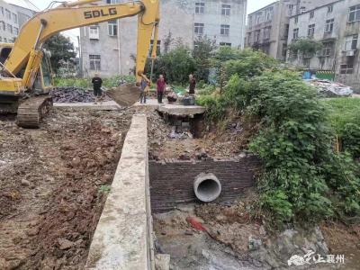 伙牌镇：人大代表在行动 助力排水管涵重建