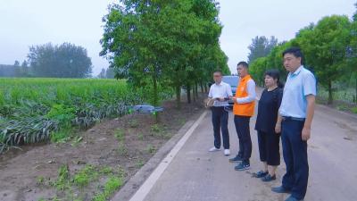 农业保险提供兜底保障让农户吃下定心丸