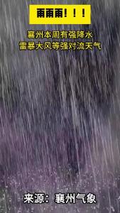 雨雨雨！本周我区雨水“周满贯”