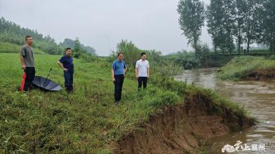 程河镇人大代表：“迎雨而上” 闻“汛”而动