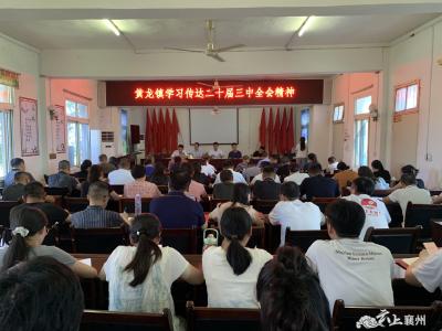 黄龙镇召开学习贯彻党的二十届三中全会精神专题会