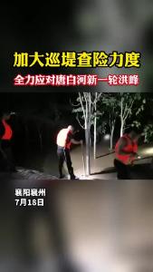 加大巡堤查险力度 全力应对唐白河新一轮洪峰.mp4