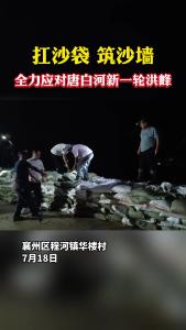 扛沙袋 筑沙墙 全力应对唐白河新一轮洪峰.mp4