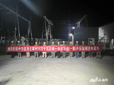伙牌镇：项目建设有序推进 营商环境协同优化