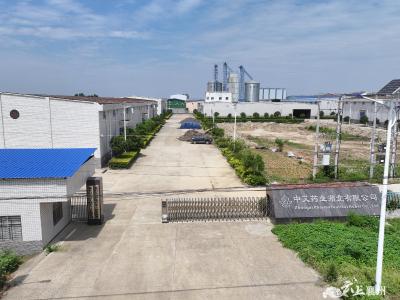 黄龙镇：变闲置资产为“聚宝盆”
