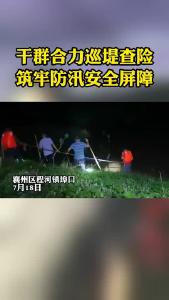 干群合力巡堤查险筑牢防汛安全屏障.mp4