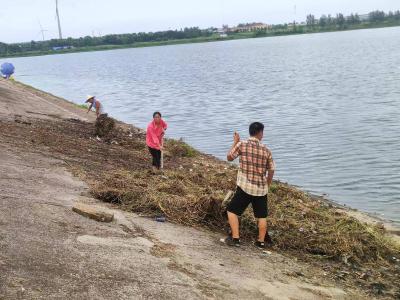 黄集镇：推进河湖“清四乱”整治 持续提升河湖水环境