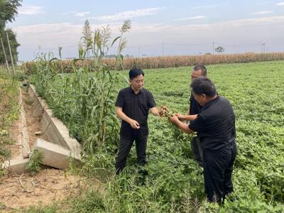 襄州区医疗保障局深入驻点帮扶村调研乡村振兴工作