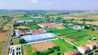 程河镇：积极推动项目落地 拓宽群众增收渠道
