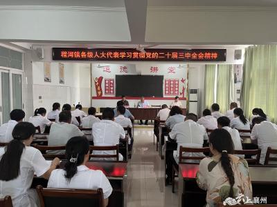 程河镇各级人大代表学习宣传贯彻党的二十届三中全会精神