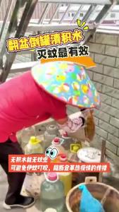 秋季登革热流行风险高！有效灭蚊 只需一个简单动作