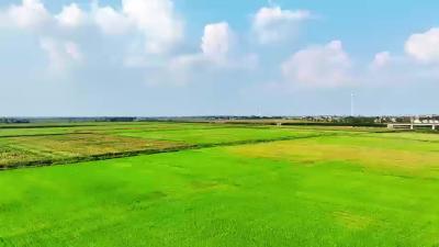 襄州：从城市到农村 擘画乡村振兴新图景