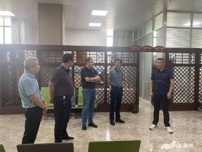 区人大教科文卫代表组调研双沟、程河医共体等建设工作
