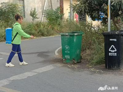 古驿镇：人大代表助力防控登革热