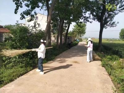 黄集镇：精细“管”推动精细“分”  垃圾分类“走新”更“走心”