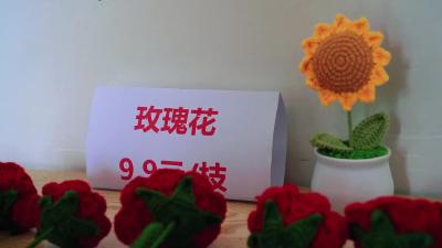 朱集镇乡村图书室99公益日“义卖活动