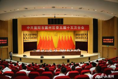 区委五届十五次全会在全区党员干部中引发热烈反响
