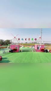 襄州区双沟镇乐耘农场500亩花海盛开