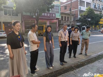 程河镇：人大代表督导检查灭蚊消杀工作