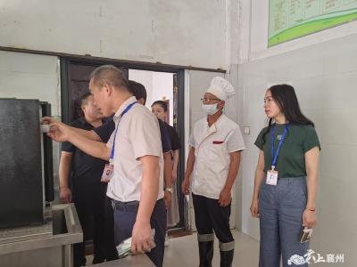 程河镇：人大代表进校园 守护师生“舌尖上的安全”