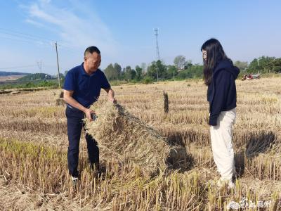 黄龙镇：代表“秸”尽所能 秸秆变废为宝