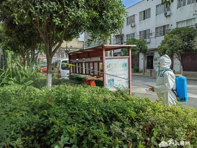 程河镇多措并举开展登革热防控行动
