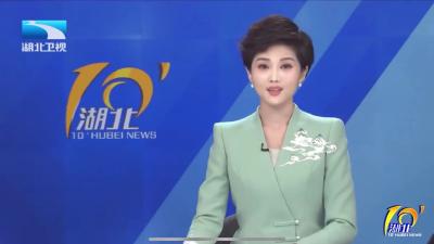 丰收湖北 生机勃勃  “澳龙”出水 襄州低洼田变聚宝盆