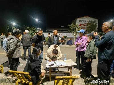 伙牌镇：人大代表齐发力 推进“小田并大田”工作