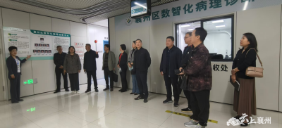 襄州区人大代表视察区人民医院数智化病理服务体系