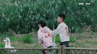 秋游正当时 不负好时光