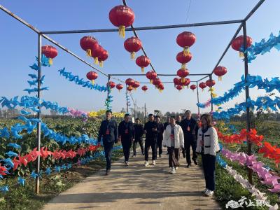 政协委员一线协商 助力乡村旅游发展