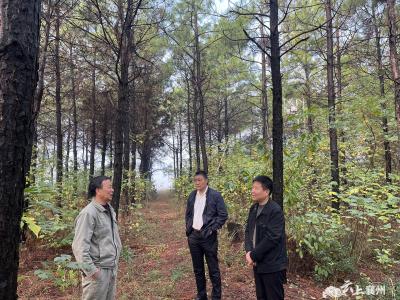 峪山镇人大：发挥监督作用 保障群众生产生活