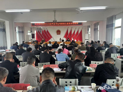 朱集镇传达学习习近平总书记考察湖北重要讲话精神