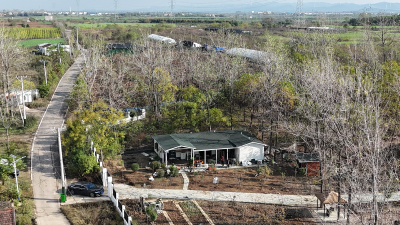 总投资1.2亿元 一期项目12月底投入使用