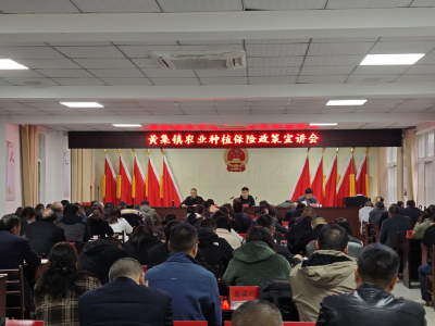 黄集镇召开农业种植保险政策宣讲会
